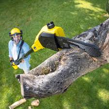 Best Storm Damage Tree Cleanup  in Decatur, MI
